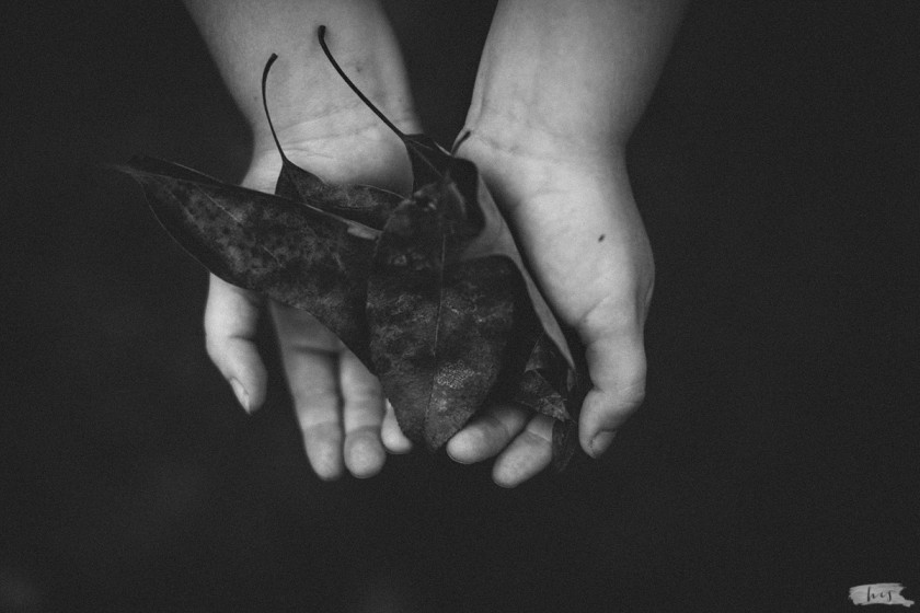 pic of boy holding leaves in his hands by Heather Stockett