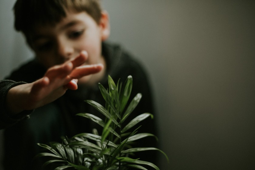 photo of boy touching green plant by Cassandra McCasley of Twist and Shutter Photography