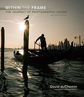 Within the Frame book