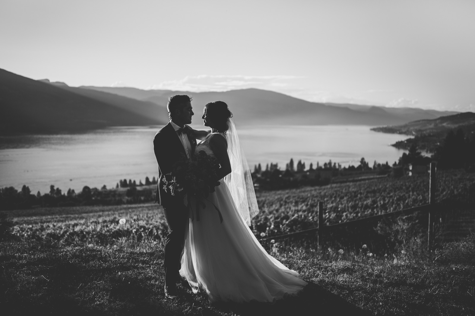 backlit wedding portrait of bride and groom by Andrea Brooke Photography