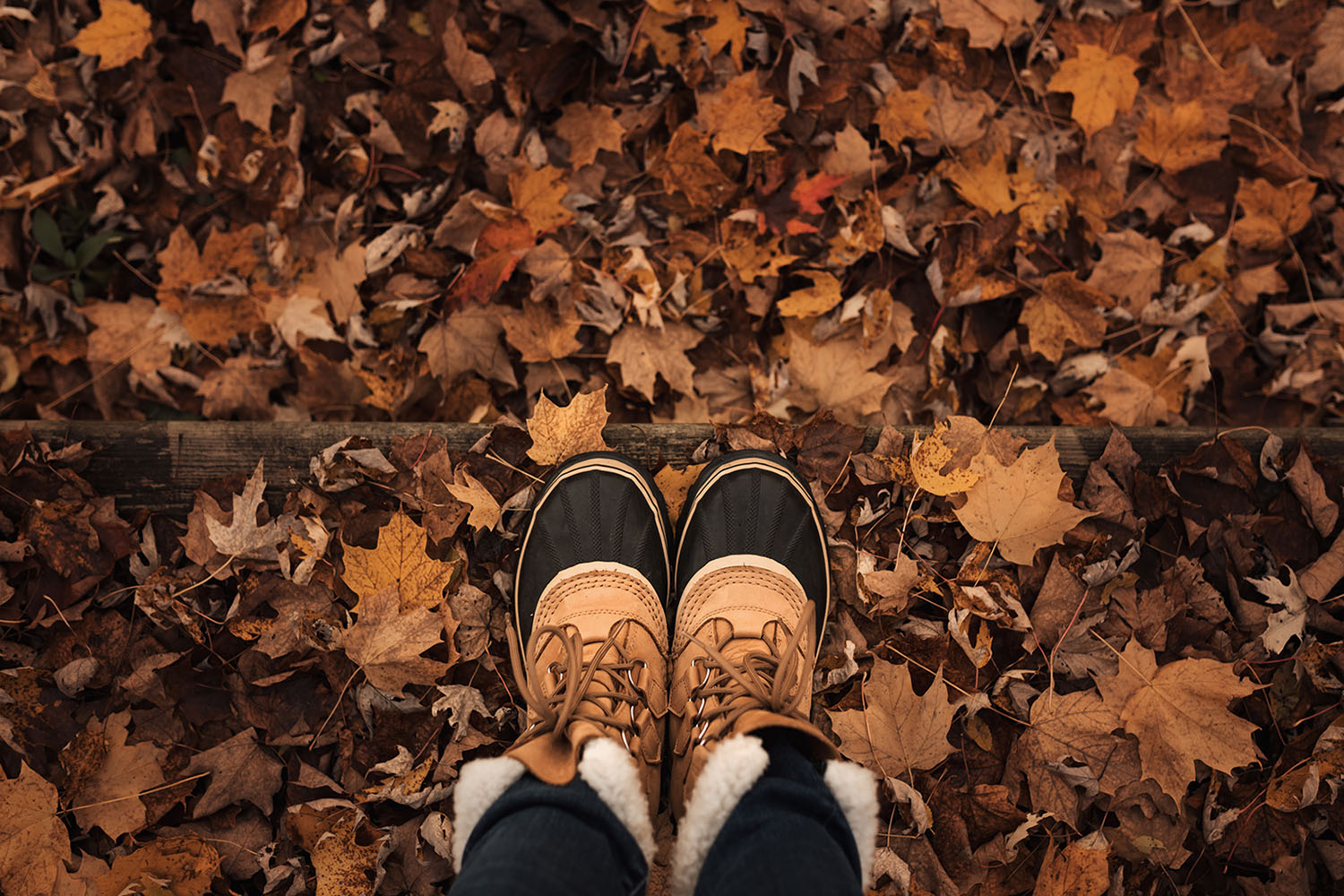 sorel boots in fall leaves by Meg Loeks