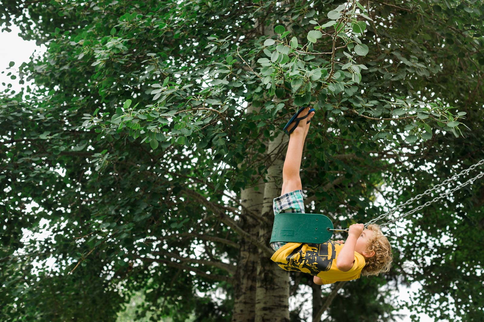 photo of boy swinging into the trees by Jessie Nelson