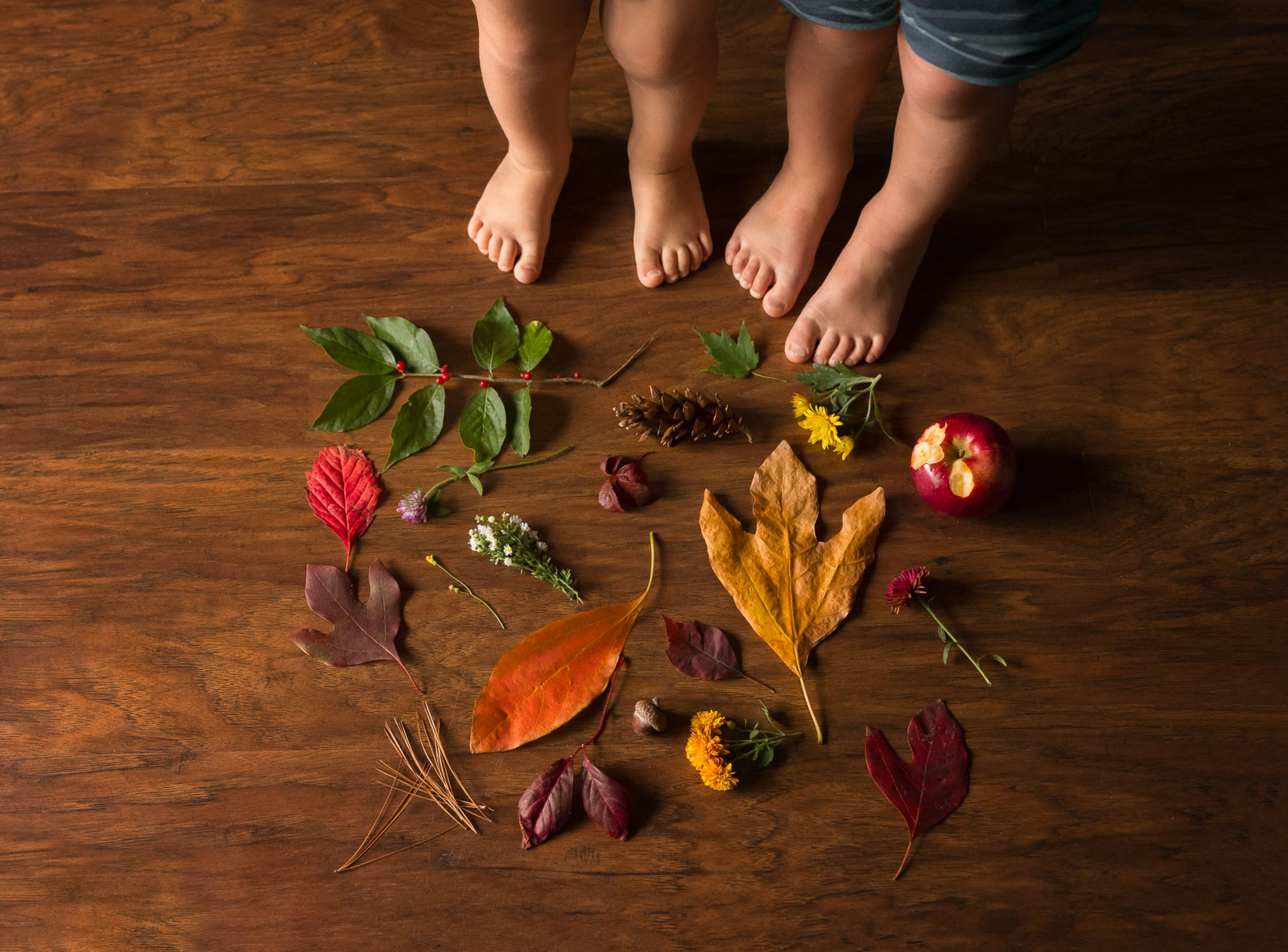 picture of kids feet and their nature treasures by Danielle Awwad