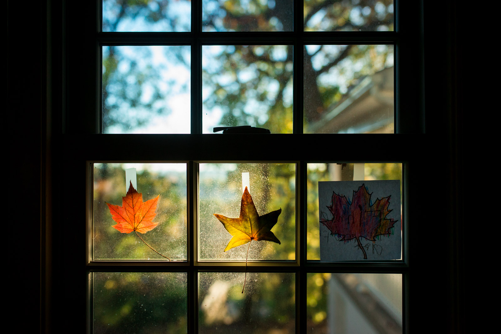 A storytelling still life image is a naturally occurring scene or object that tells a story and contains no people. I enjoy photographing storytelling still life photos all over my home, but my favorite spot is the kitchen window above the sink.