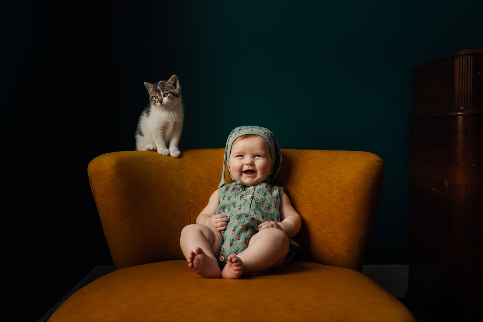 photographing pets small baby girl smiling in chair with kitten by meg loeks