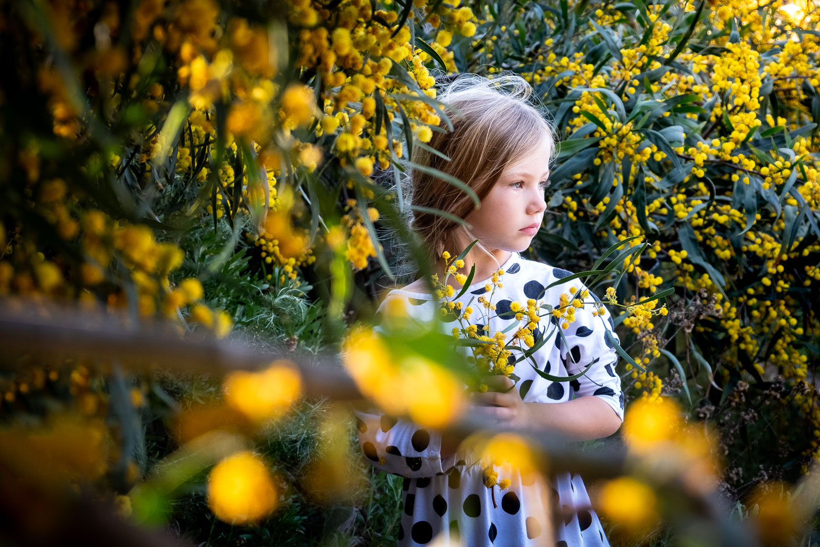 Unexpected Backdrop- Flower bed yellow flowers girl standing looking into distance karlee hooper