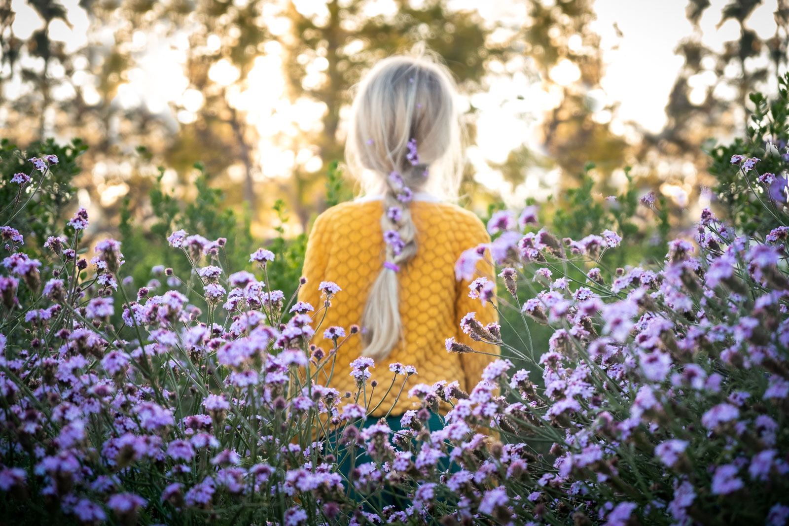 Unexpected Backdrop flower bed of purple flowers girl in yellow shirt karlee hooper